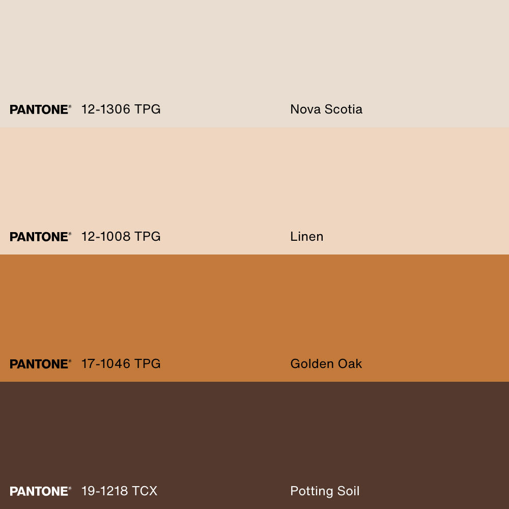 SEPIA FLOWERS, Artwork on stretched canvas, framed Natural Light