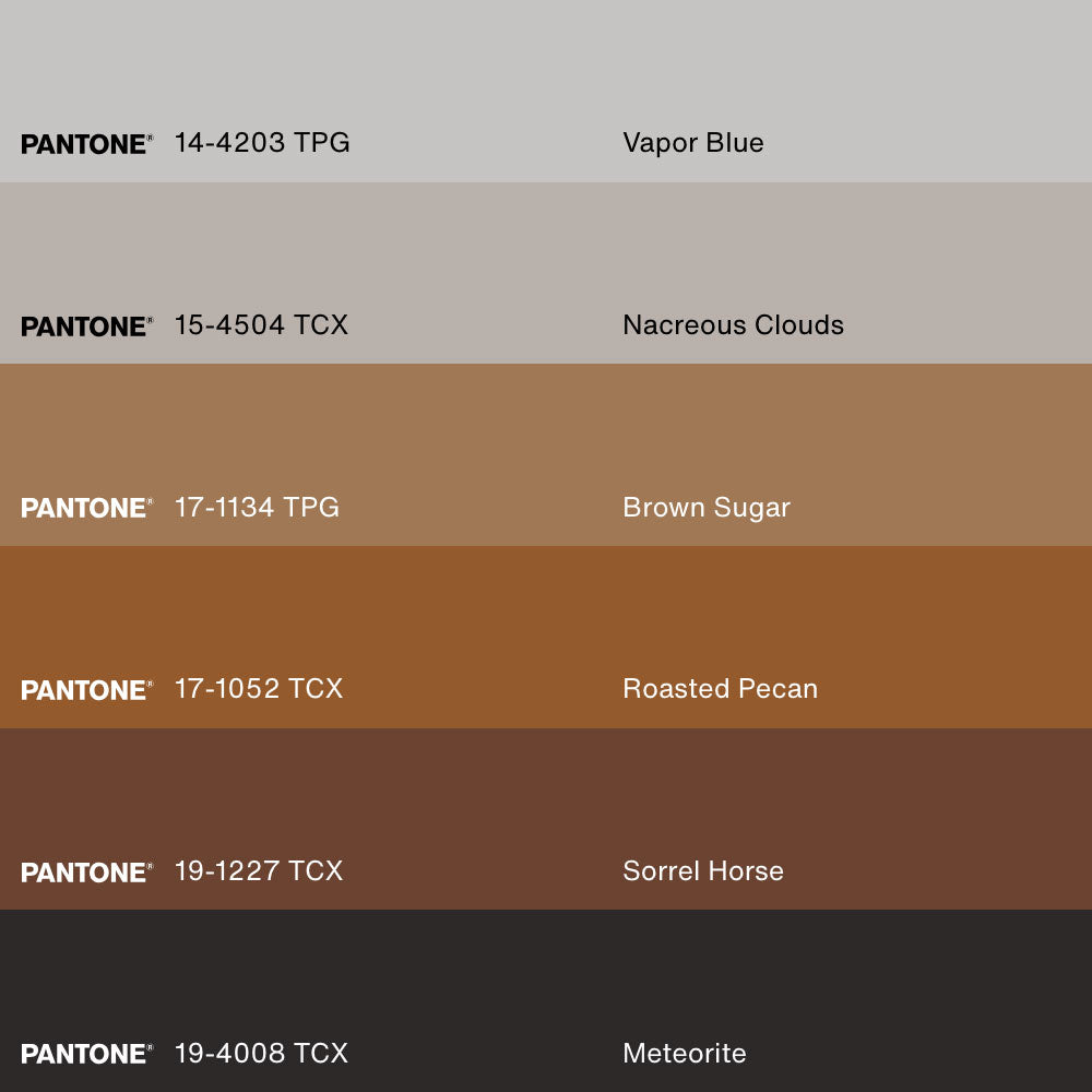 GOLDEN FEATHER, Oeuvre sur toile étirée, encadré Naturel Clair