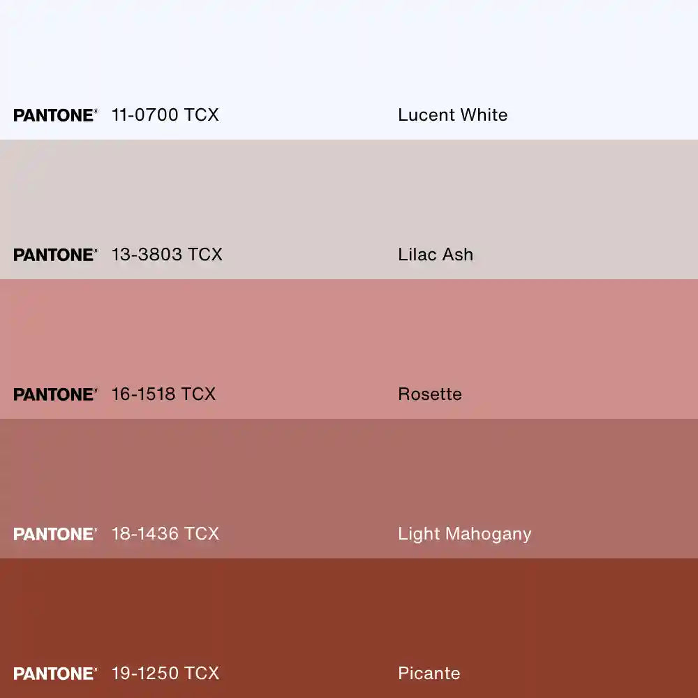 SOFT SIENNA DUO, 2 Oeuvres sur toile étirée, encadré Naturel Clair