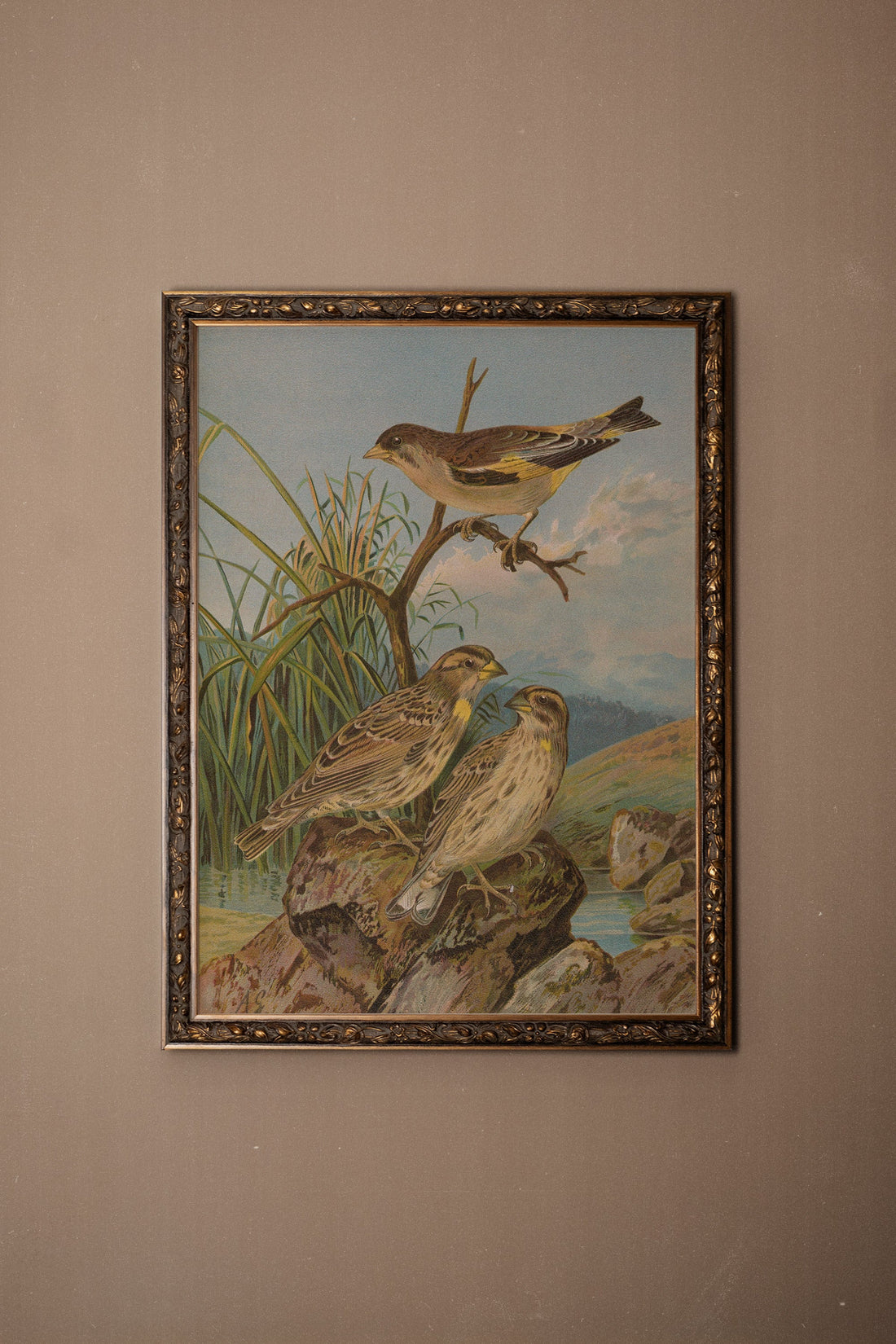 CHANT DES ROSEAUX, Oeuvre sur toile rigide, encadré Vintage Bronze
