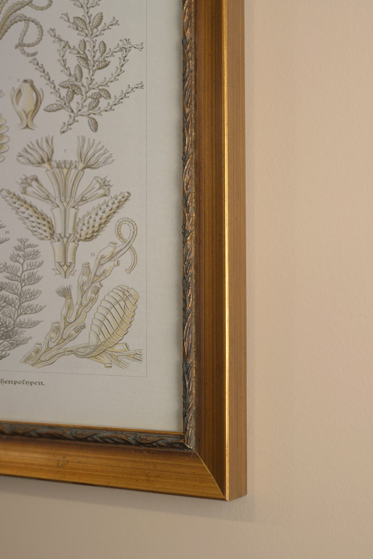 ESSENCE MARINE, Artwork on rigid canvas, framed in Vintage Gold