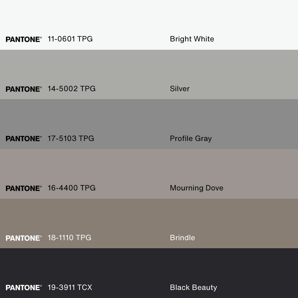 SPARK OF MAGIC, Artwork on stretched canvas, framed in Walnut Brown