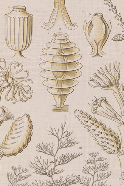 ESSENCE MARINE, Artwork on rigid canvas, framed in Vintage Gold