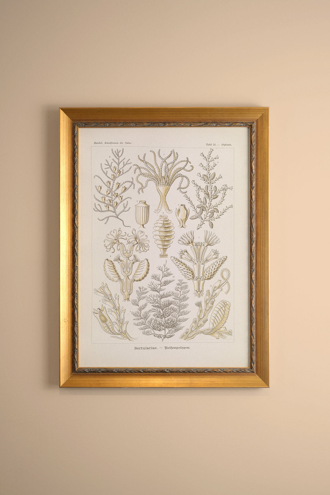 ESSENCE MARINE, Oeuvre sur toile rigide, encadré Vintage Or