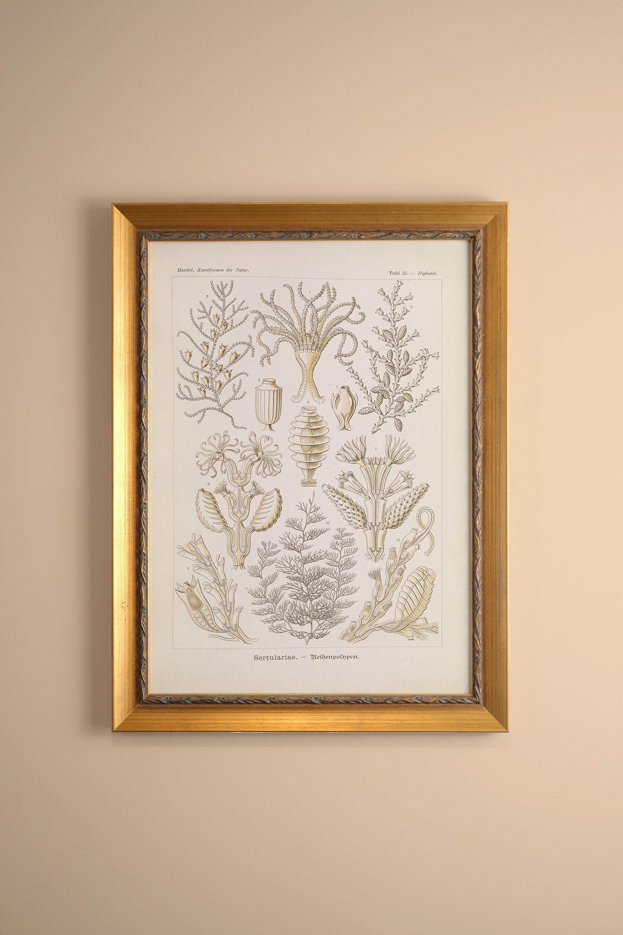 ESSENCE MARINE, Artwork on rigid canvas, framed in Vintage Gold