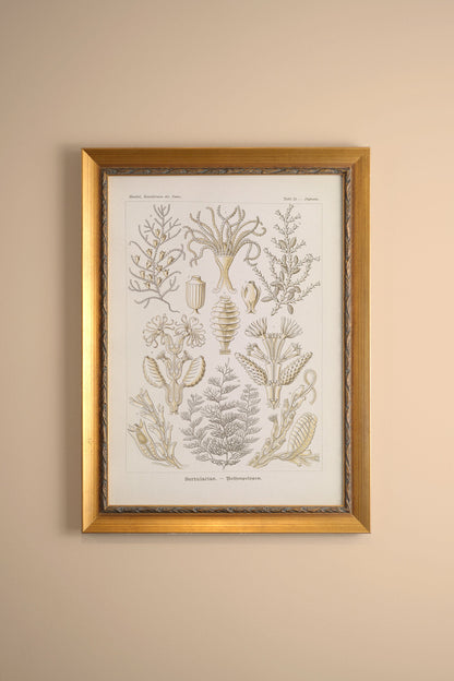 ESSENCE MARINE, Artwork on rigid canvas, framed in Vintage Gold