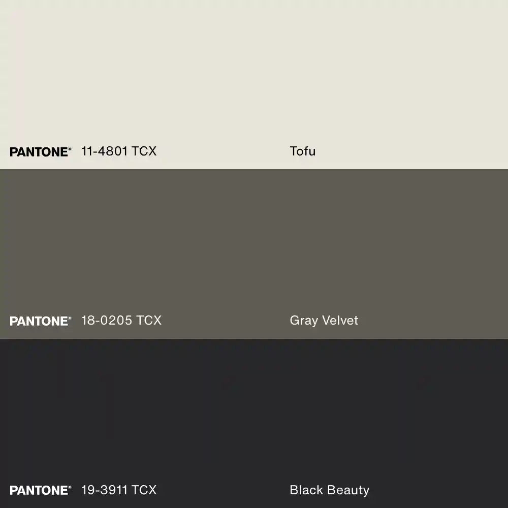 LEMON SKETCH, Oeuvre sur toile étirée, encadré Naturel Clair