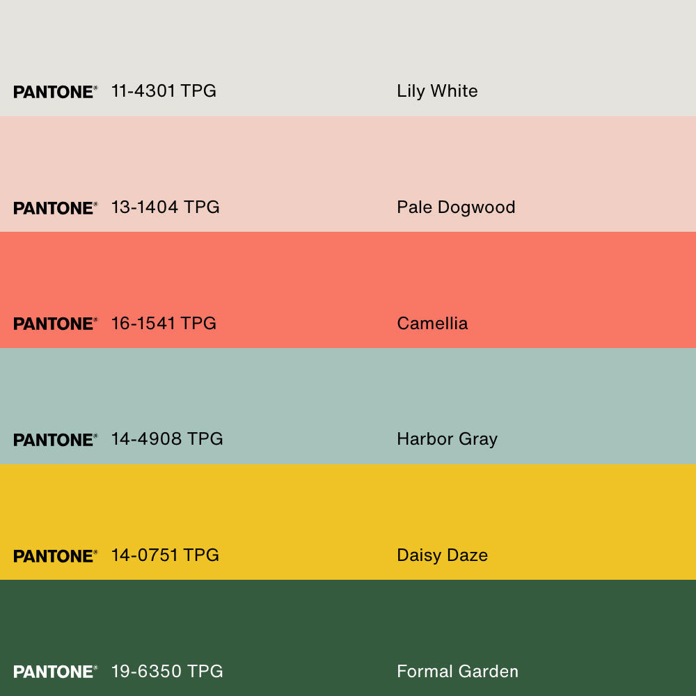 DYNAMIC BLOOM, Artwork on stretched canvas, framed Natural Light