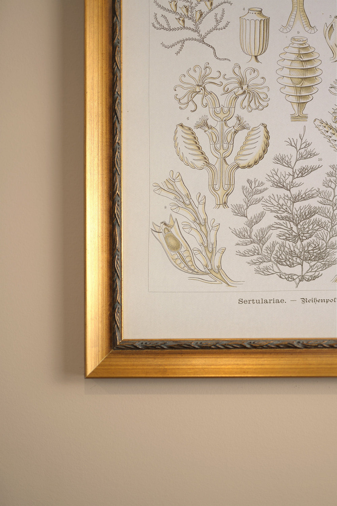 ESSENCE MARINE, Oeuvre sur toile rigide, encadré Vintage Or