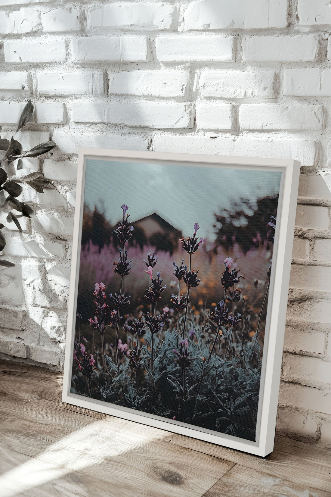 OLEKA CANVAS - SOUFFLE LAVANDE, Oeuvre sur toile étirée, encadré Blanc