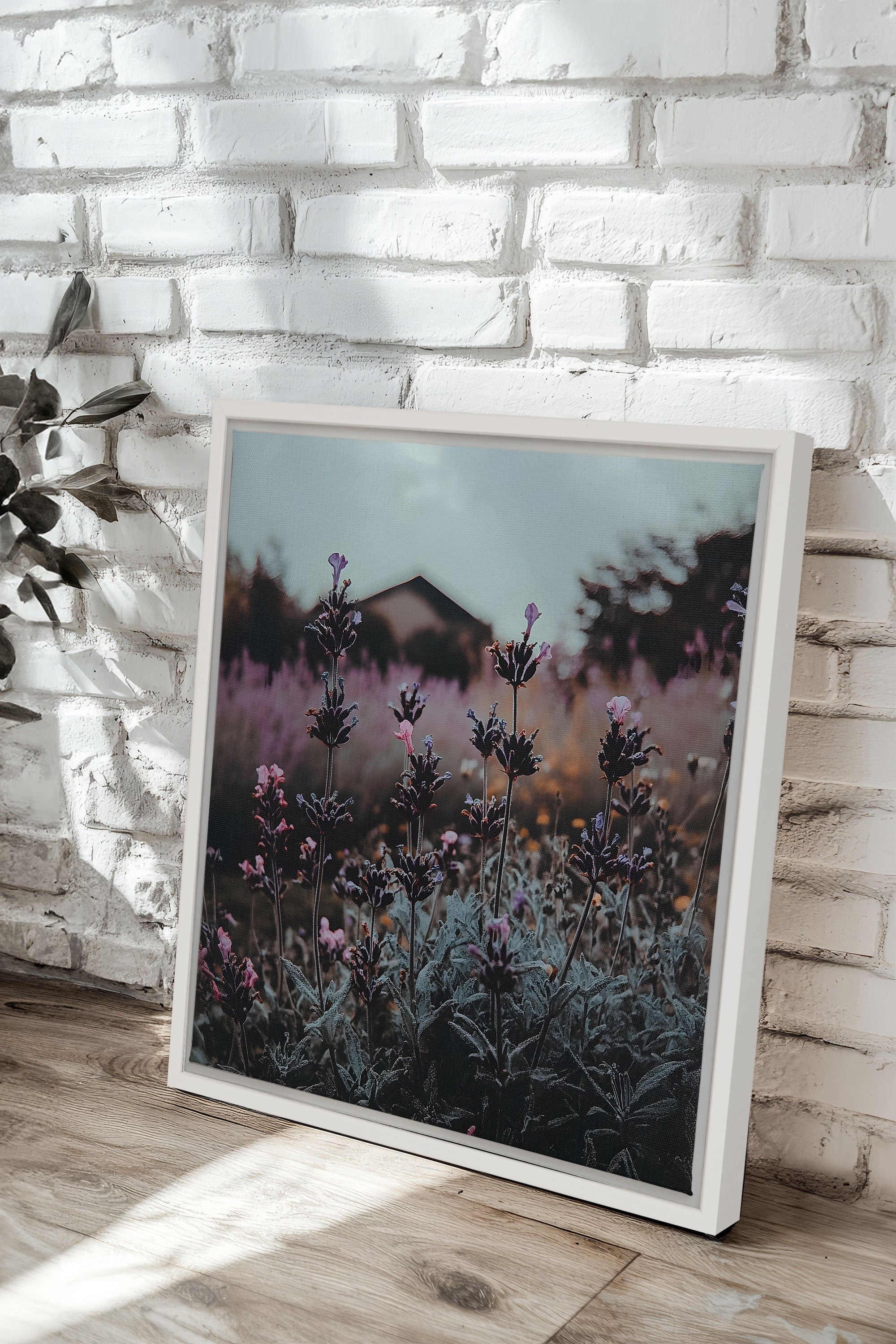 OLEKA CANVAS - SOUFFLE LAVANDE, Oeuvre sur toile étirée, encadré Blanc