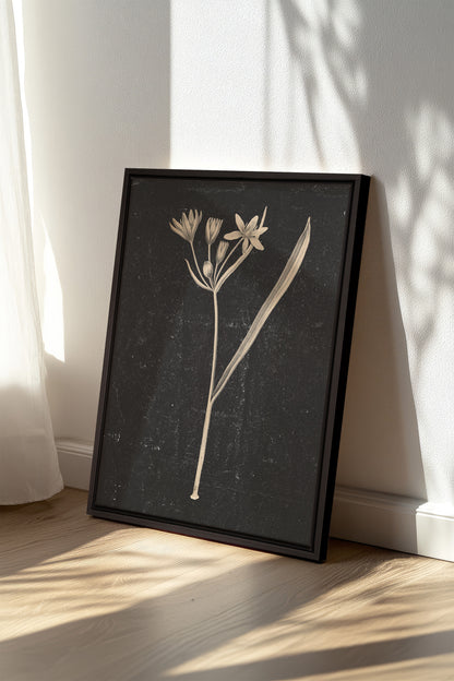 MINIMAL FLORA, Work on stretched canvas, framed Black