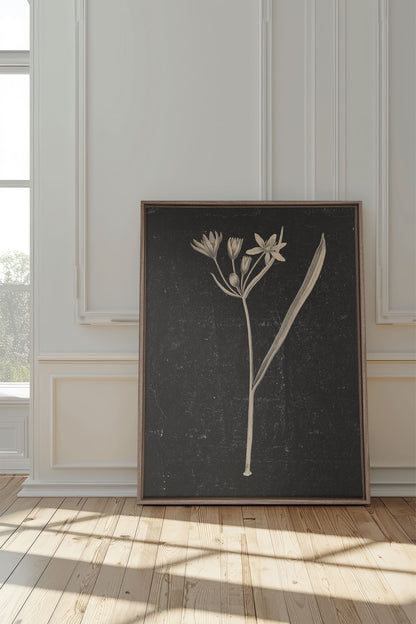 MINIMAL FLORA, Work on stretched canvas, framed Oak Brown