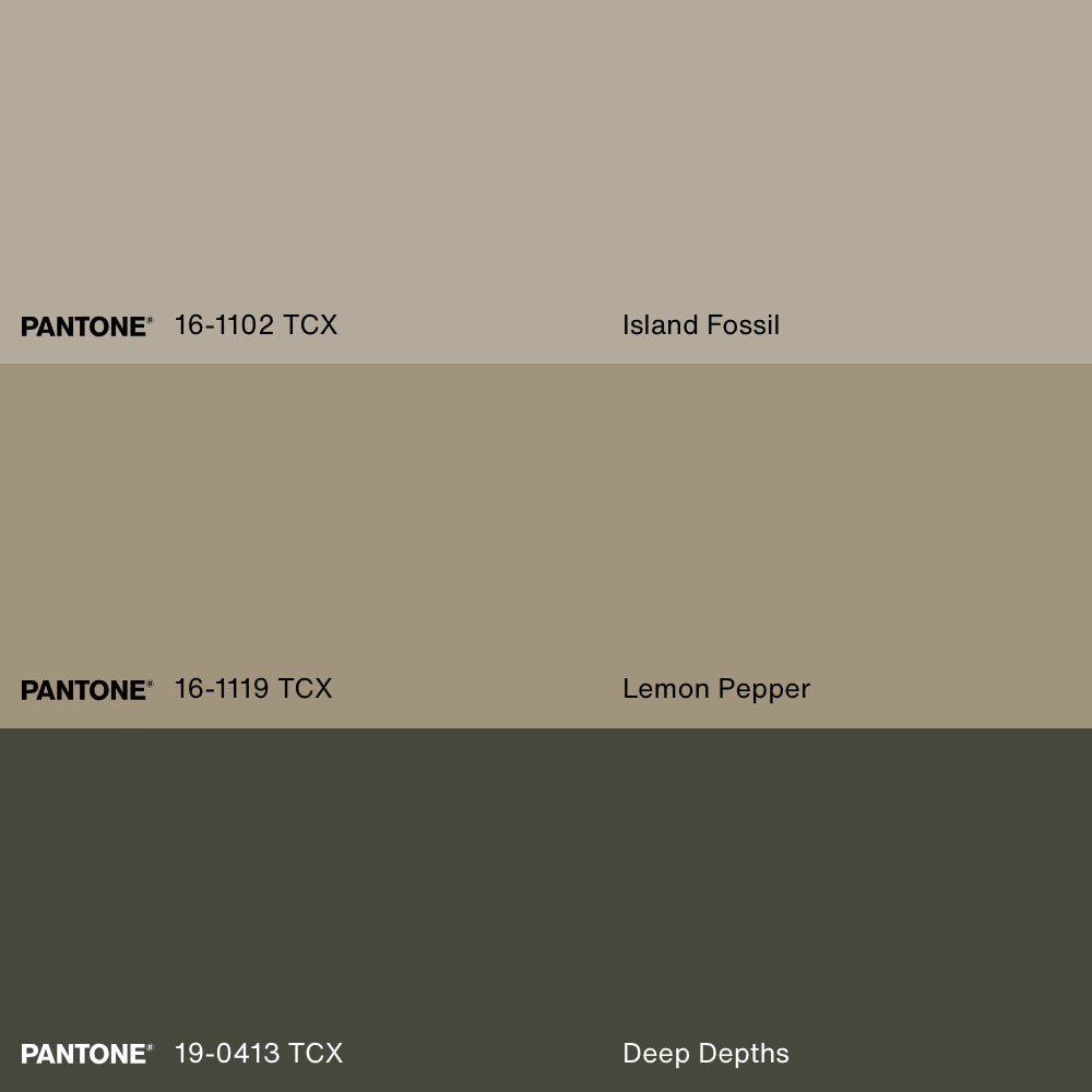 DANSE VÉGÉTALE, Artwork on stretched canvas, framed in white