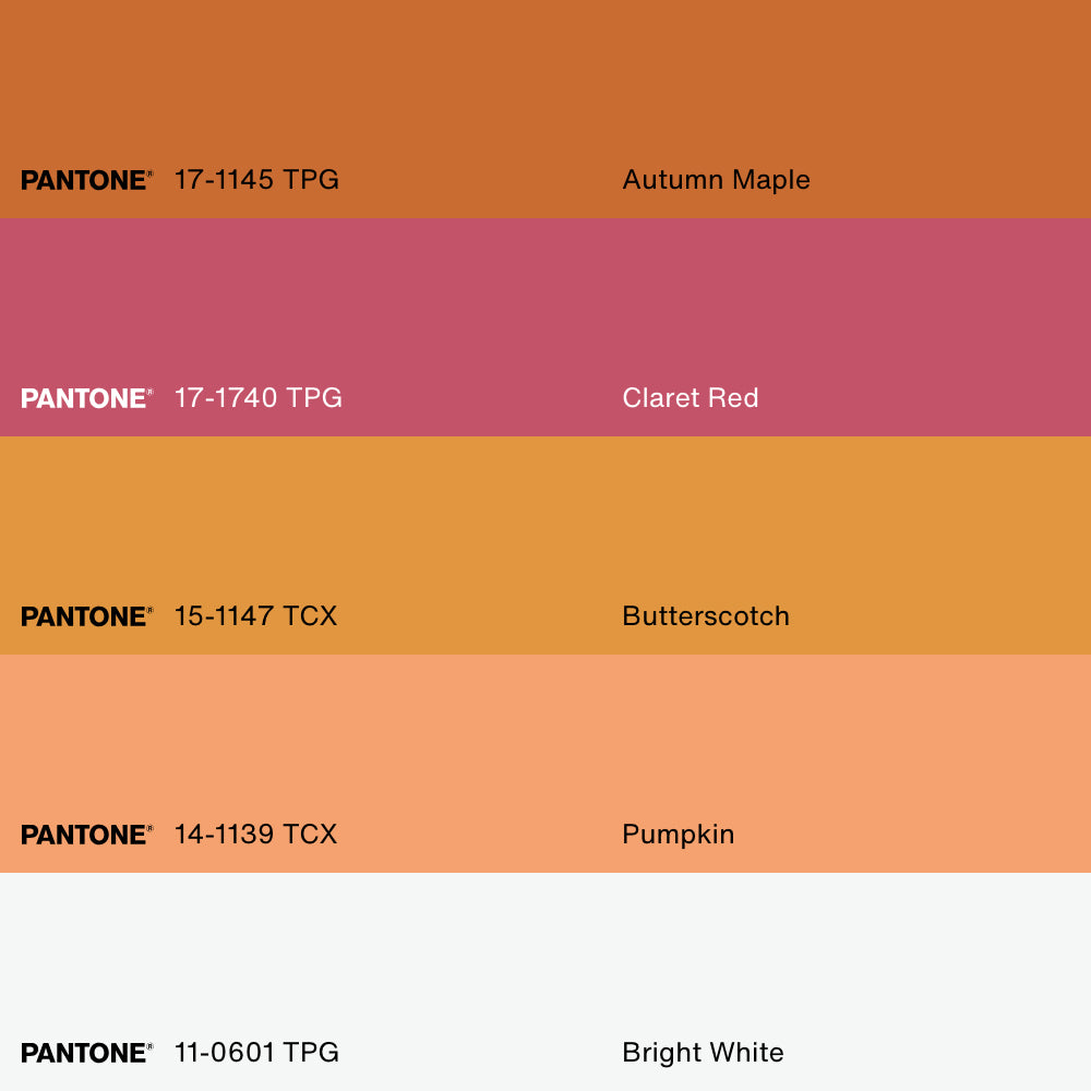 AMARETTO SOUR, Oeuvre sur toile étirée, encadré Blanc