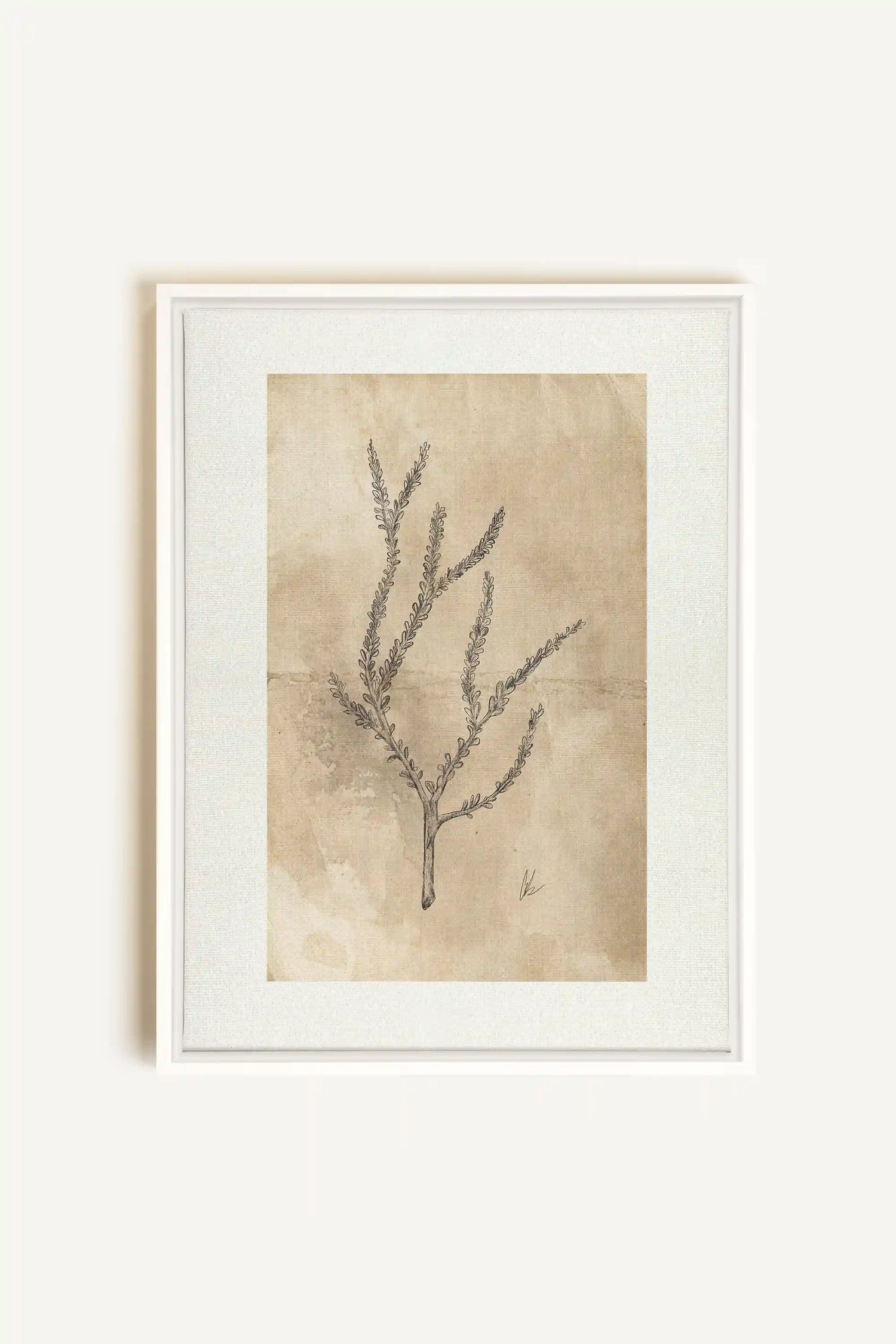 BLOOMING FLOWER I, Oeuvre sur toile étirée, encadré Blanc