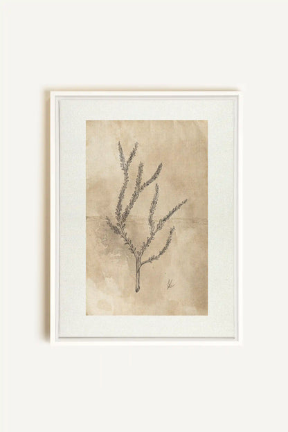 BLOOMING FLOWER I, Oeuvre sur toile étirée, encadré Blanc