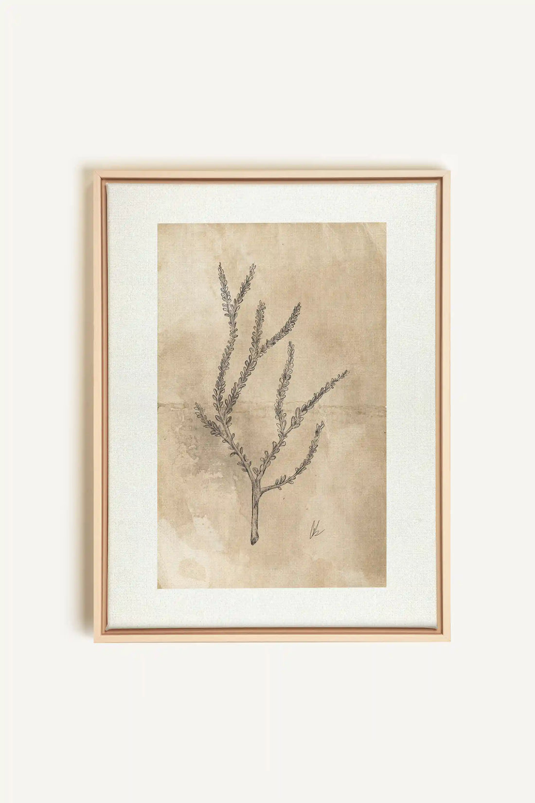 BLOOMING FLOWER I, Oeuvre sur toile étirée, encadré Naturel Clair