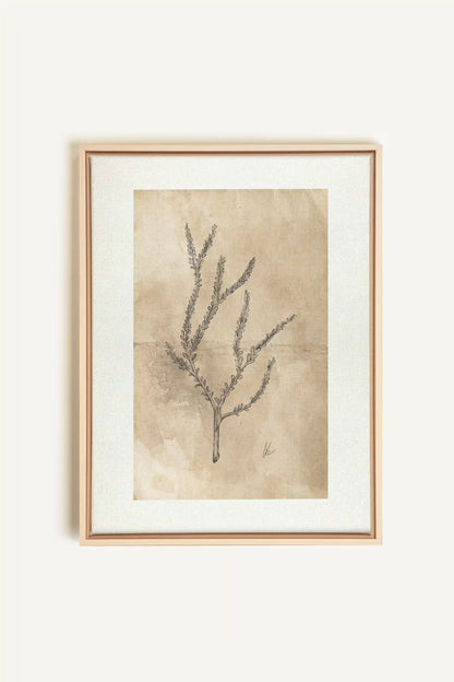 BLOOMING FLOWER I, Oeuvre sur toile étirée, encadré Naturel Clair