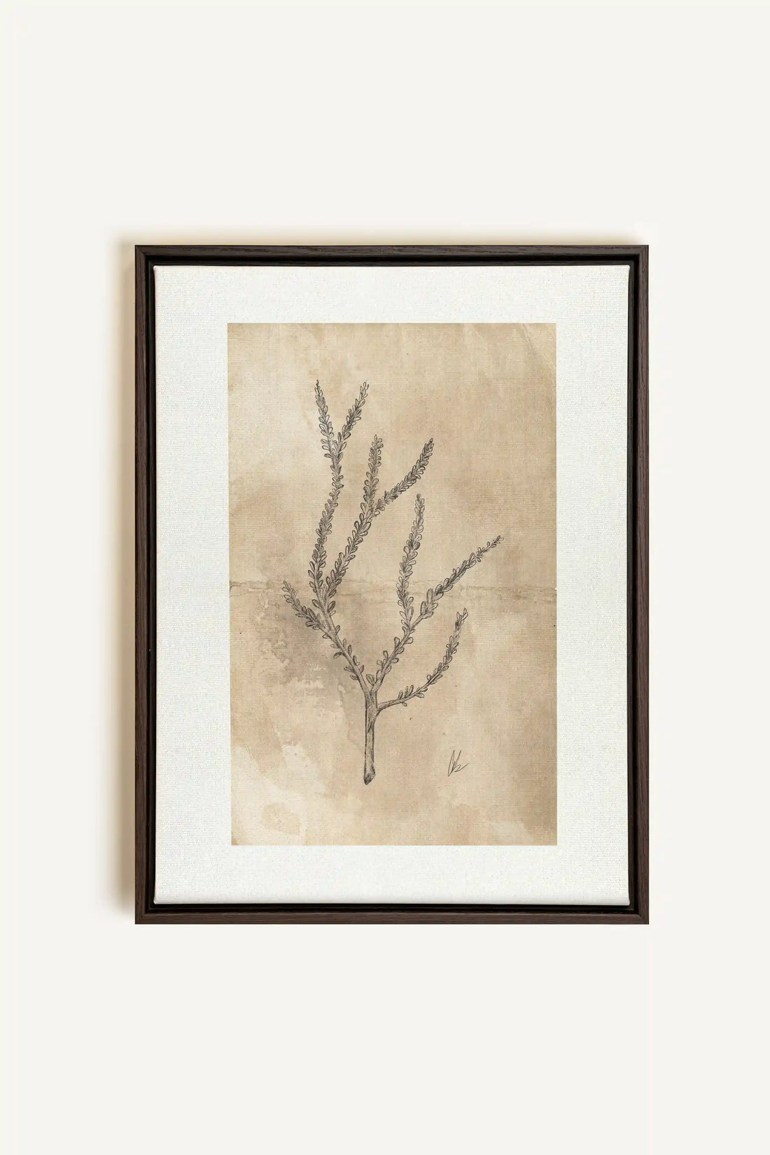 BLOOMING FLOWER I, Artwork on stretched canvas, framed in Walnut Brown