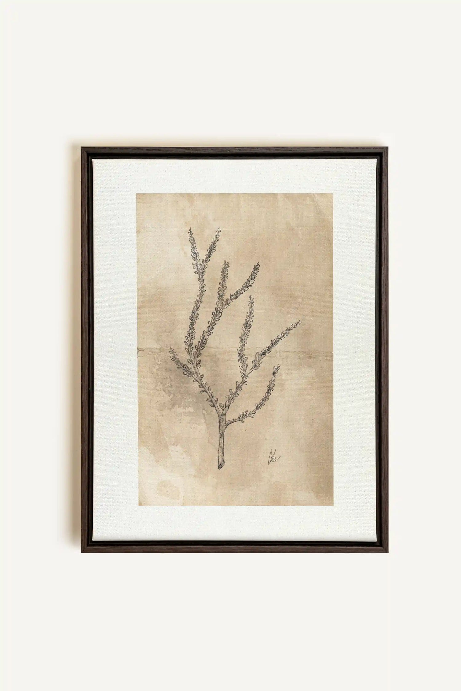 BLOOMING FLOWER I, Artwork on stretched canvas, framed in Walnut Brown