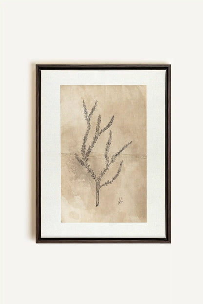 BLOOMING FLOWER I, Artwork on stretched canvas, framed in Walnut Brown