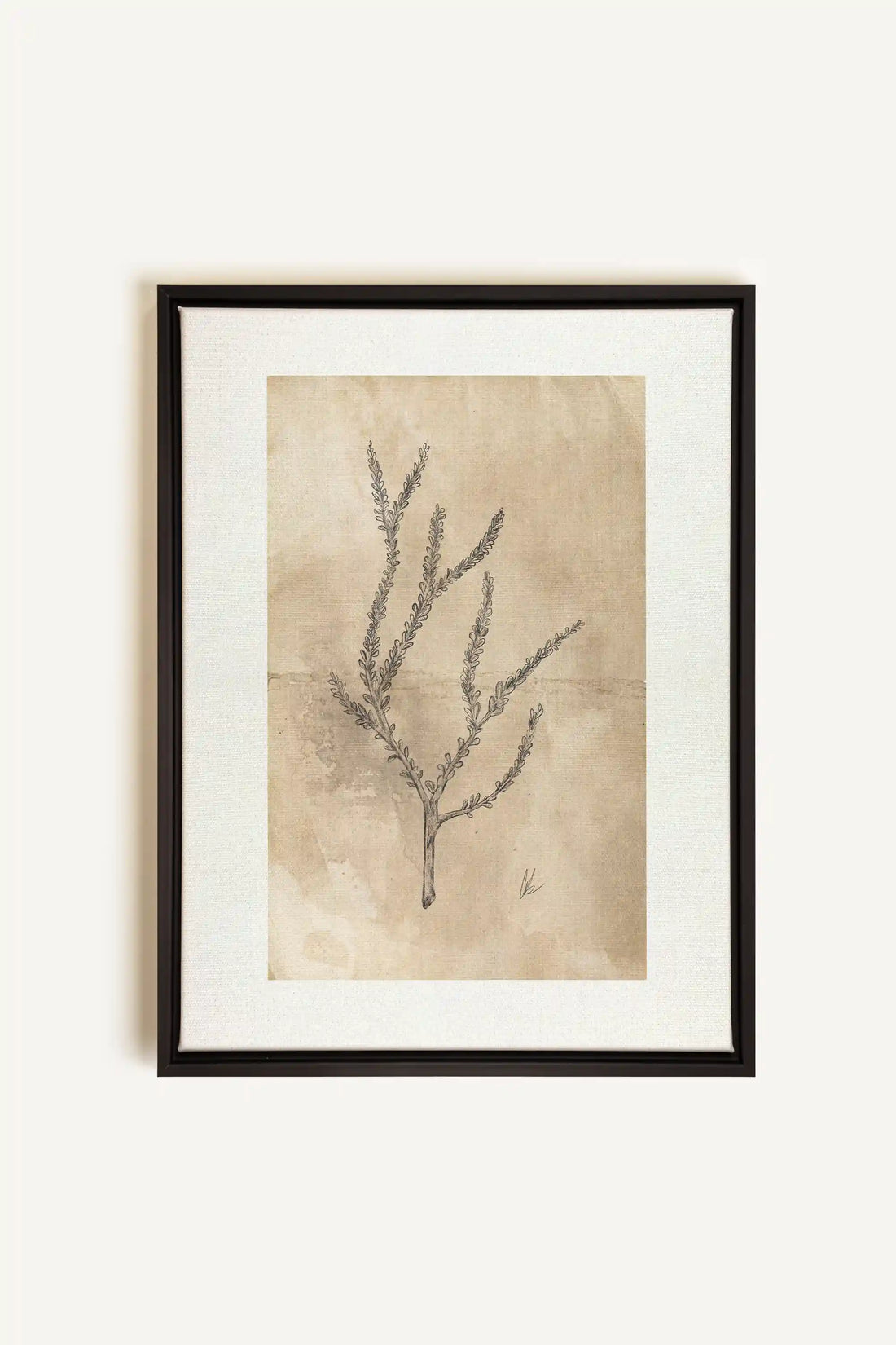 BLOOMING FLOWER I, Oeuvre sur toile étirée, encadré Noir