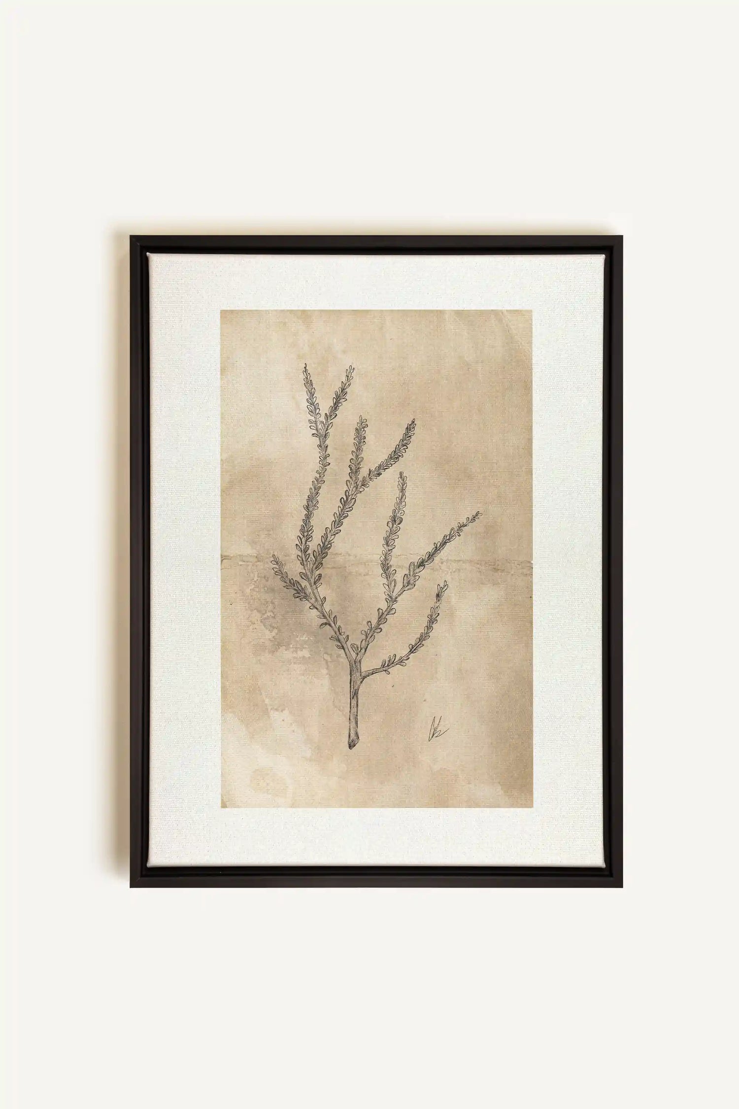 BLOOMING FLOWER I, Oeuvre sur toile étirée, encadré Noir