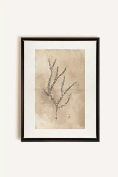 BLOOMING FLOWER I, Oeuvre sur toile étirée, encadré Noir