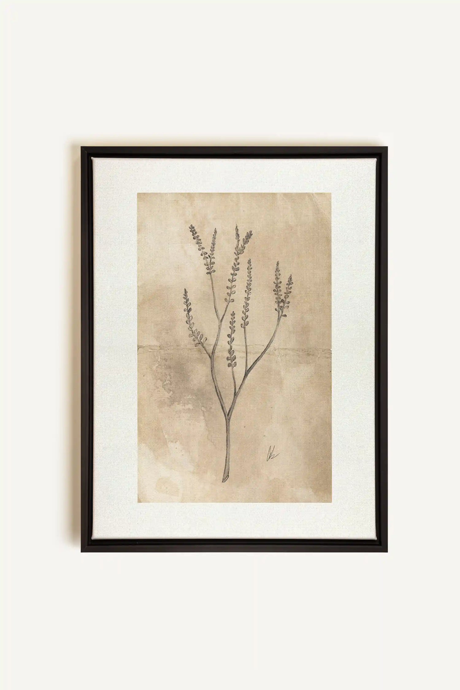 BLOOMING FLOWER II, Oeuvre sur toile étirée, encadré Noir