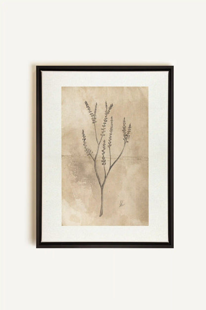 BLOOMING FLOWER II, Oeuvre sur toile étirée, encadré Noir