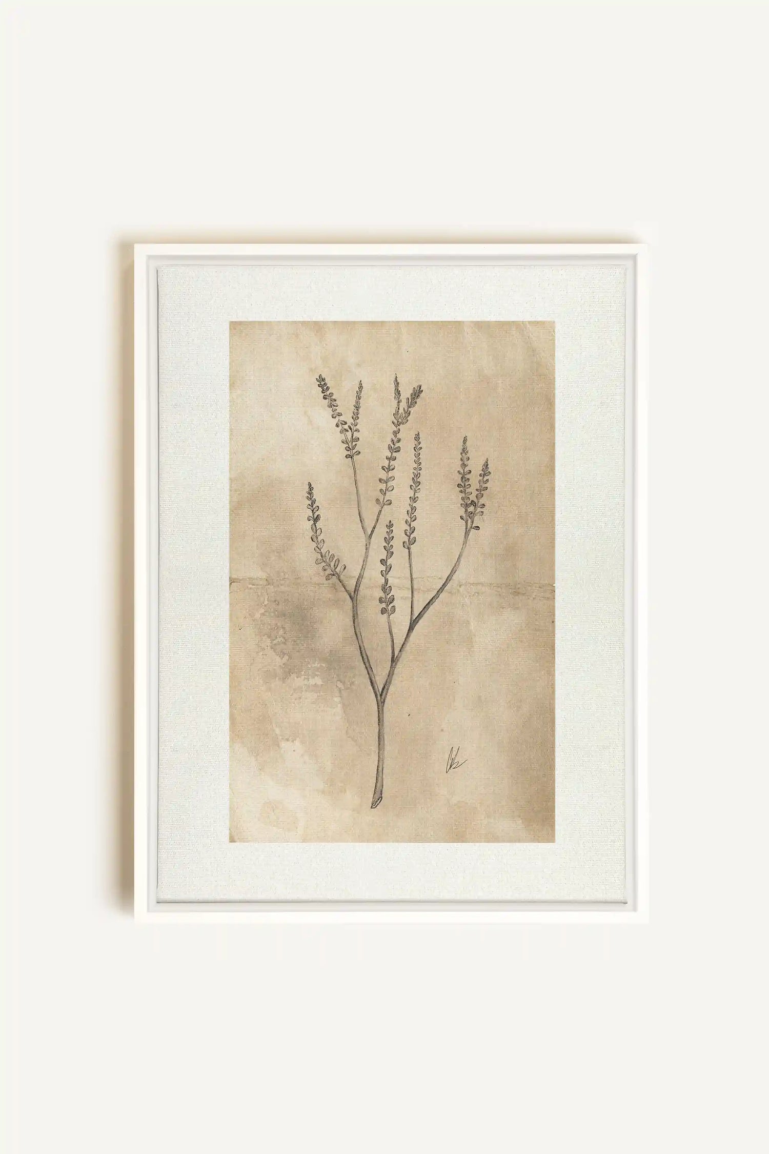 BLOOMING FLOWER II, Oeuvre sur toile étirée, encadré Blanc