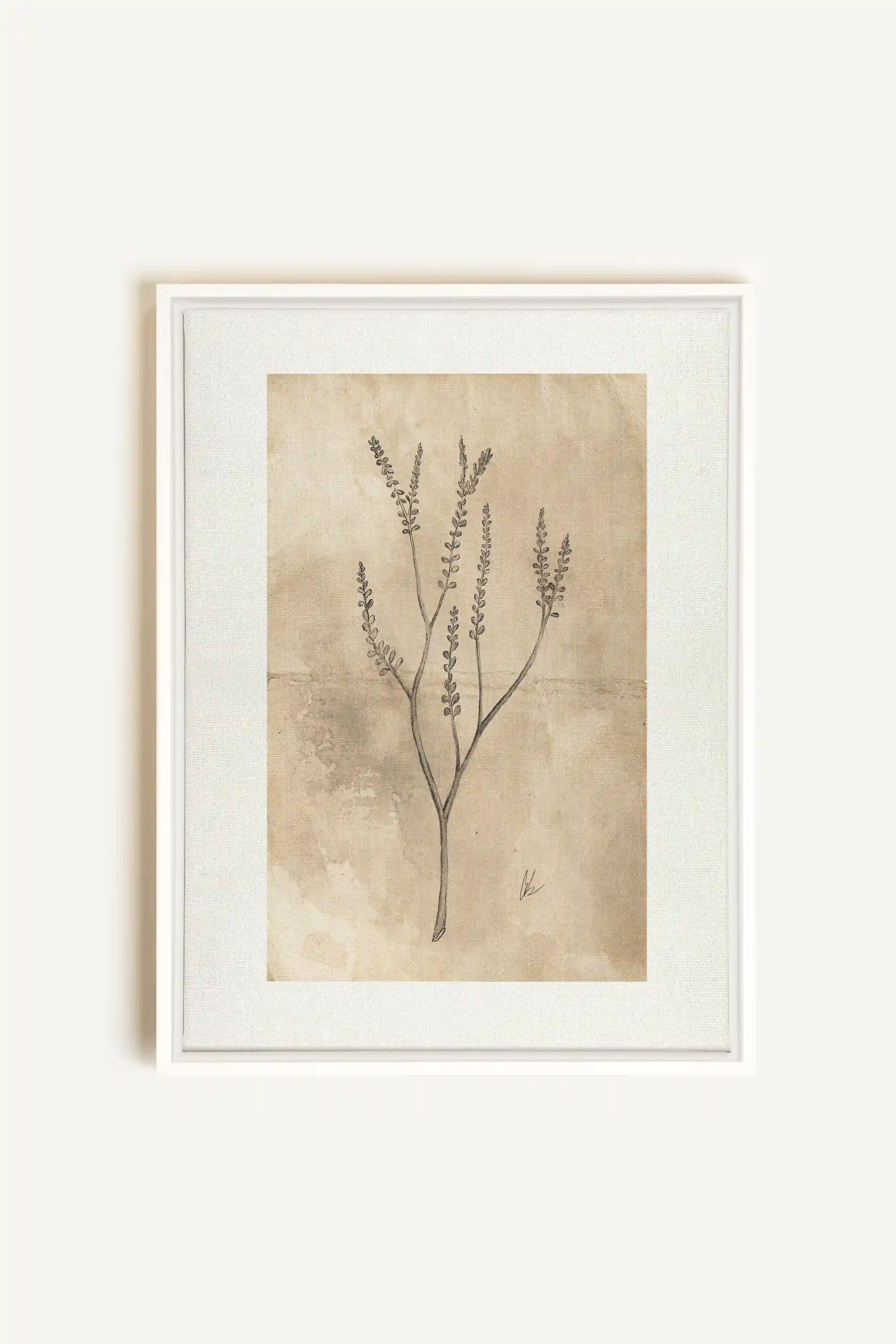 BLOOMING FLOWER II, Oeuvre sur toile étirée, encadré Blanc