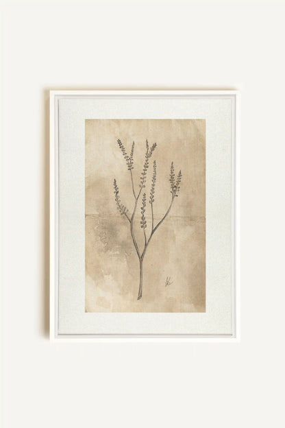 BLOOMING FLOWER II, Oeuvre sur toile étirée, encadré Blanc