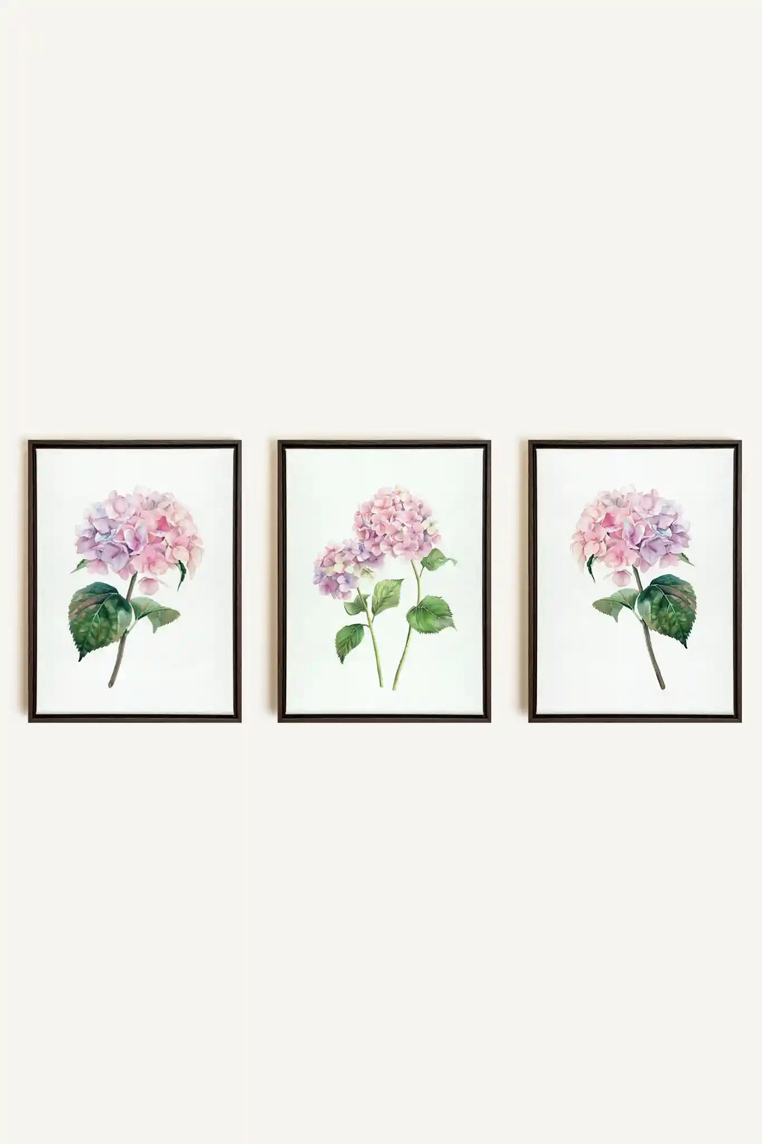 BLOSSOMING TRIO, 3 Artworks on stretched canvas, framed in Walnut Brown