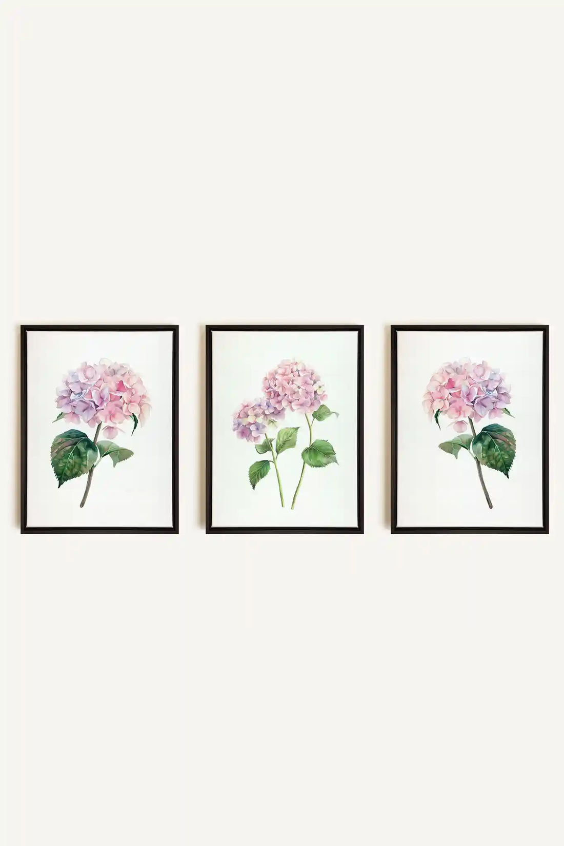 BLOSSOMING TRIO, 3 Works on stretched canvas, black framed
