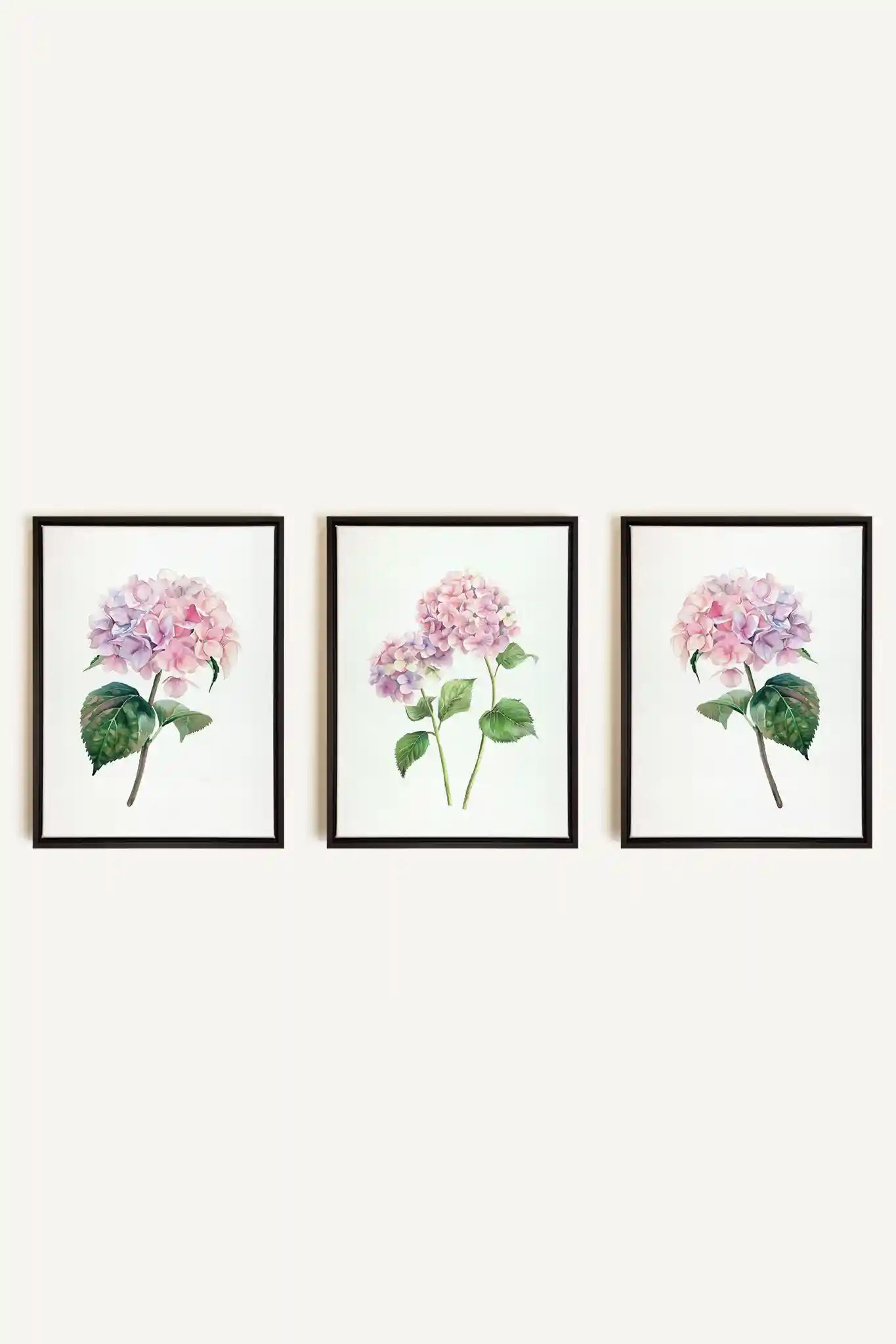 BLOSSOMING TRIO, 3 Works on stretched canvas, black framed