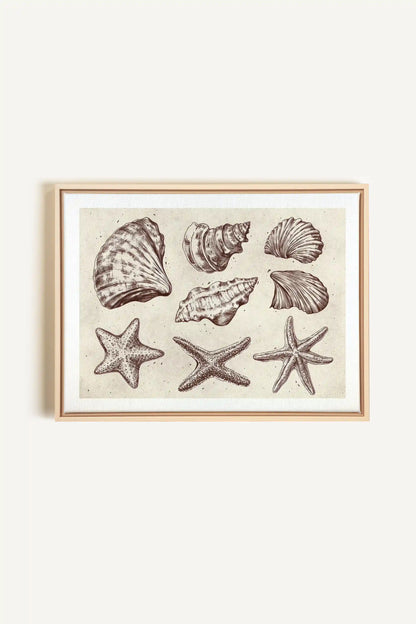 COASTAL COLLECTION, Oeuvre sur toile étirée, encadré Naturel Clair