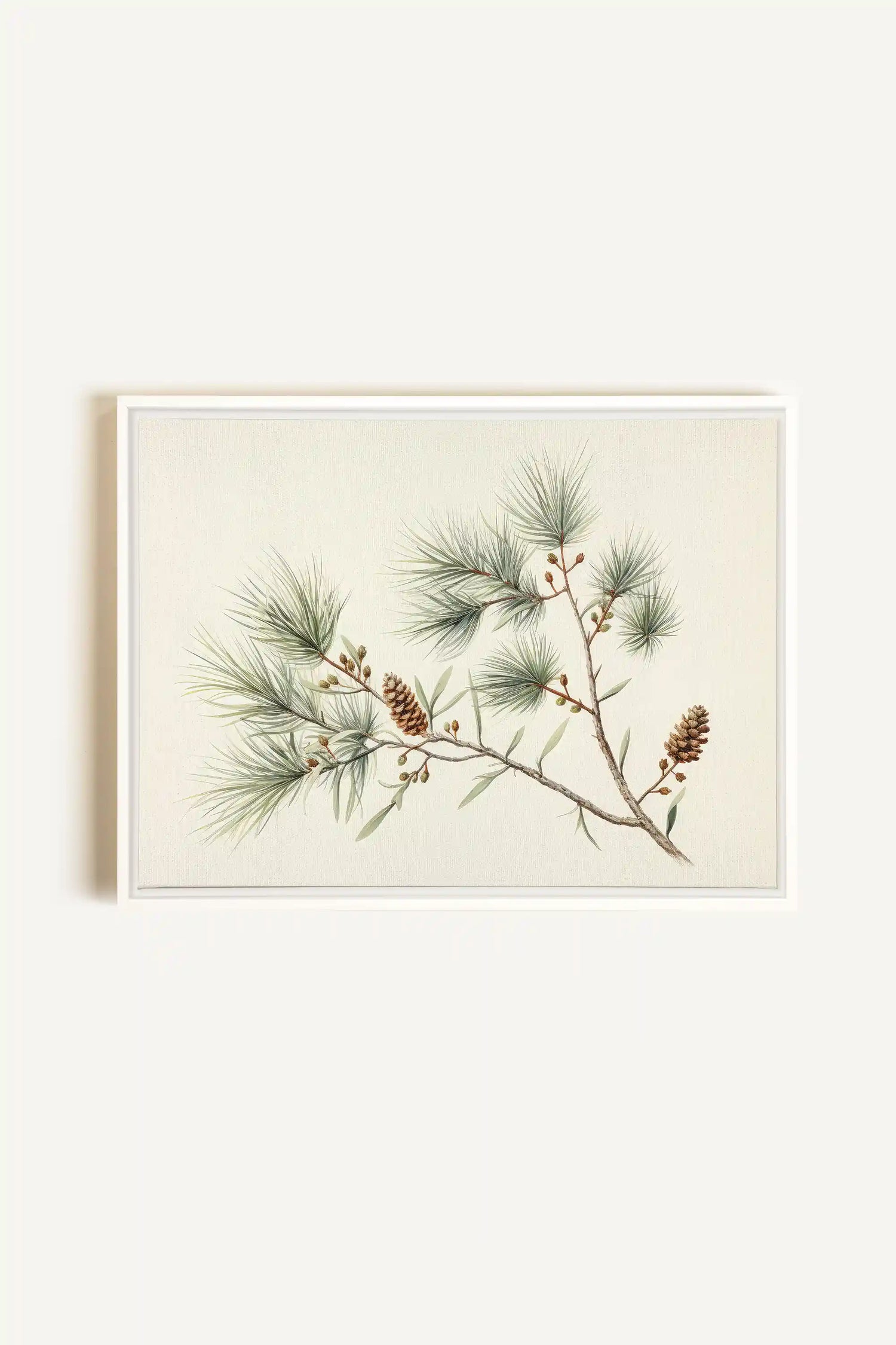 Conifer Branch, Oeuvre sur toile étirée, encadré Blanc