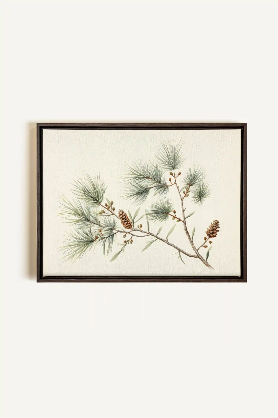 Conifer Branch, Oeuvre sur toile étirée, encadré Brun Noyer