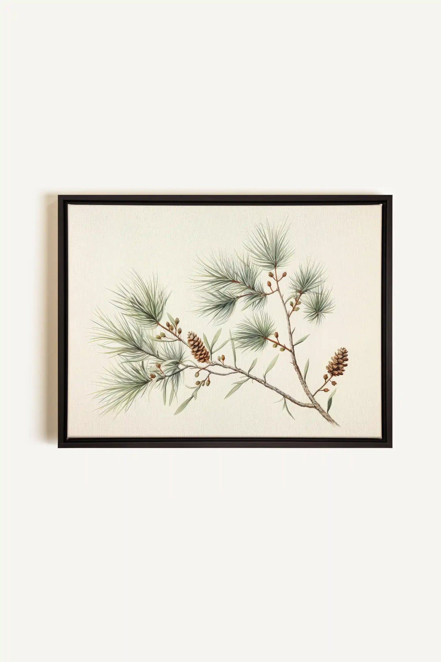 Conifer Branch, Oeuvre sur toile étirée, encadré Noir