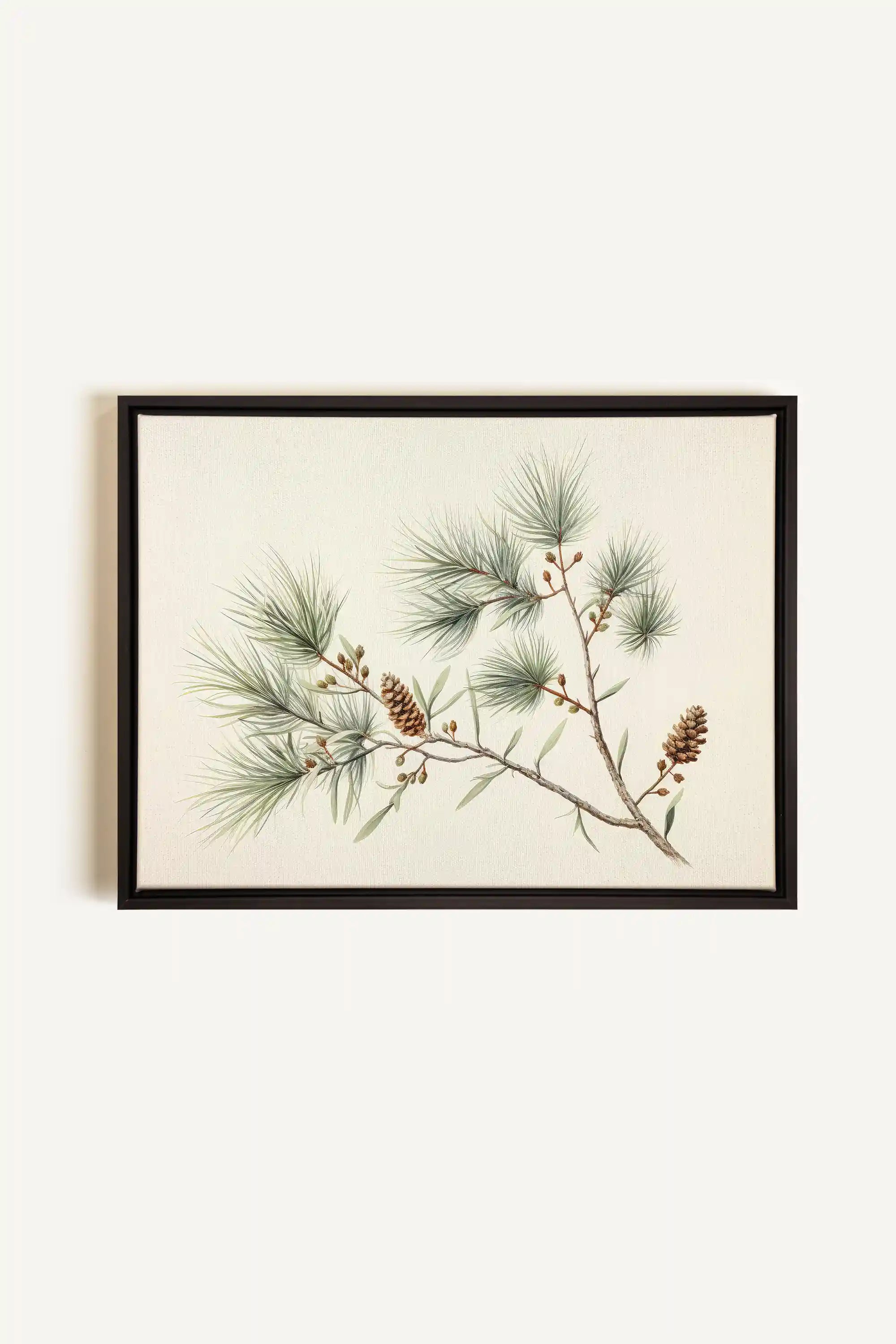 Conifer Branch, Oeuvre sur toile étirée, encadré Noir