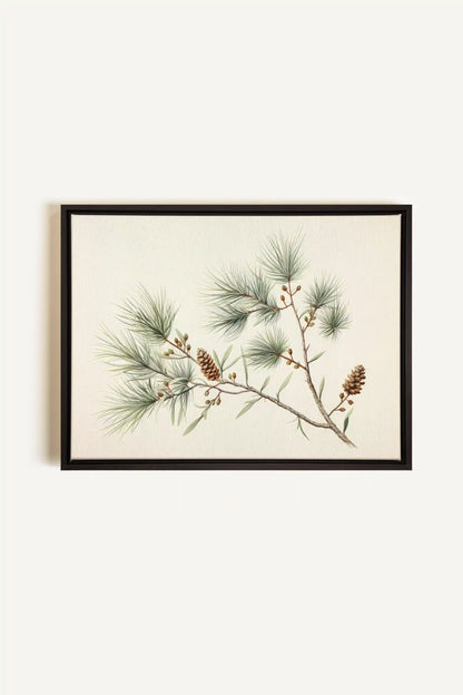 Conifer Branch, Oeuvre sur toile étirée, encadré Noir