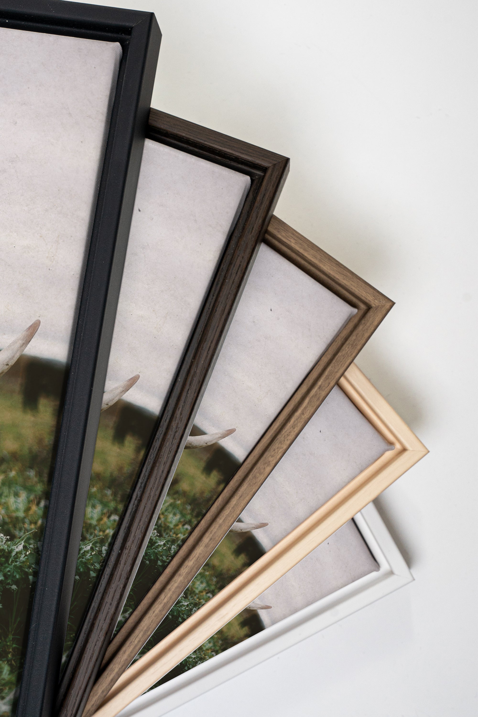 ROOTED SPIRIT, Artwork on stretched canvas, framed in Brown Oak