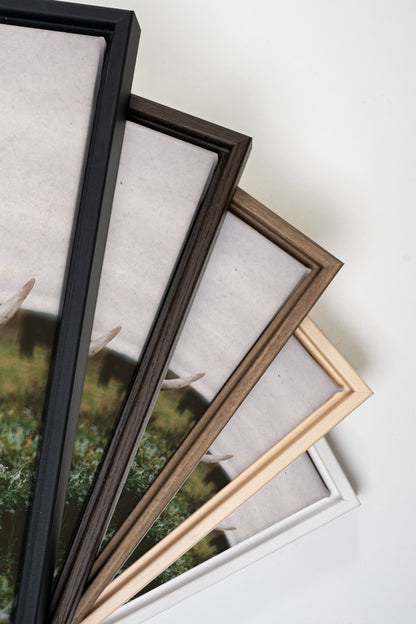 ROOTED SPIRIT, Artwork on stretched canvas, framed in Walnut Brown