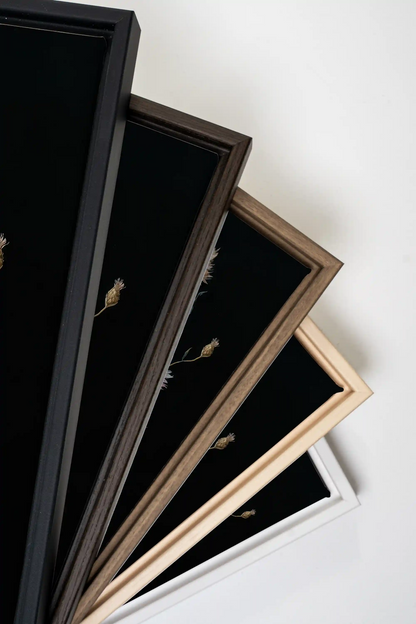 BLUSH FLORA, Work on stretched canvas, framed White