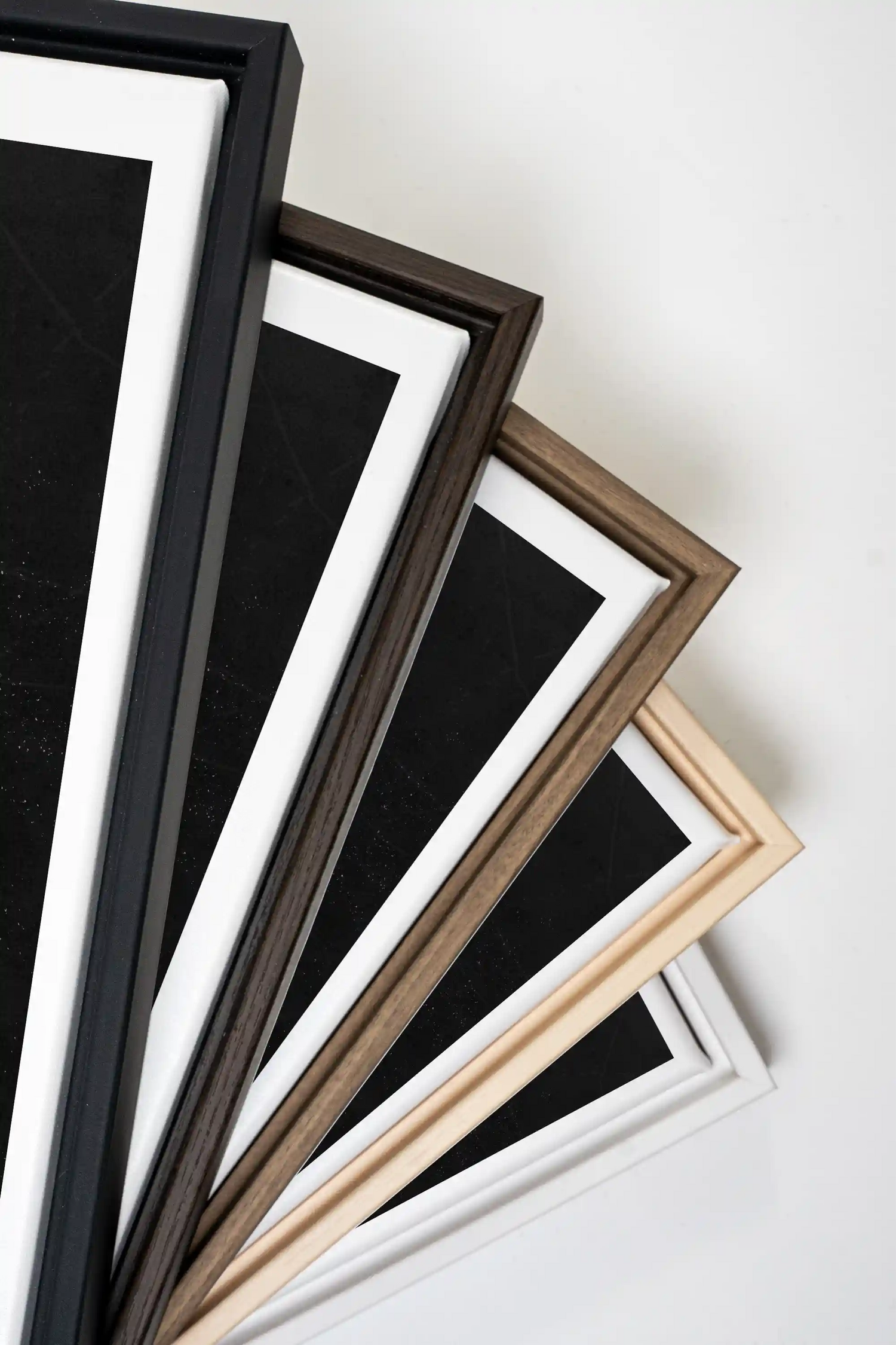 GUARDIAN BLOOM, Work on stretched canvas, framed Black