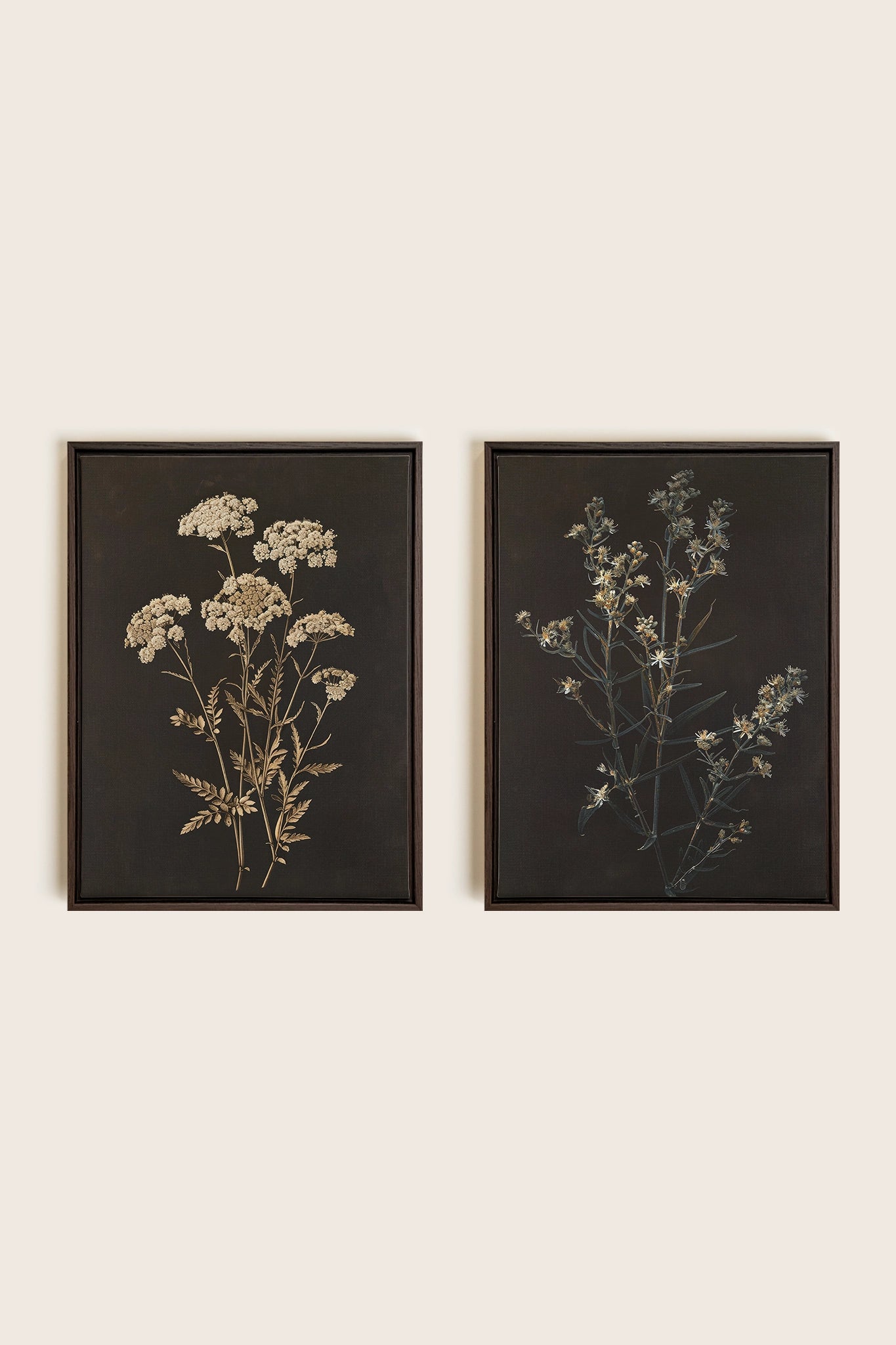DUO FLEURS PRÉCIEUSES, 2 Oeuvres sur toile étirée, encadré Brun Noyer