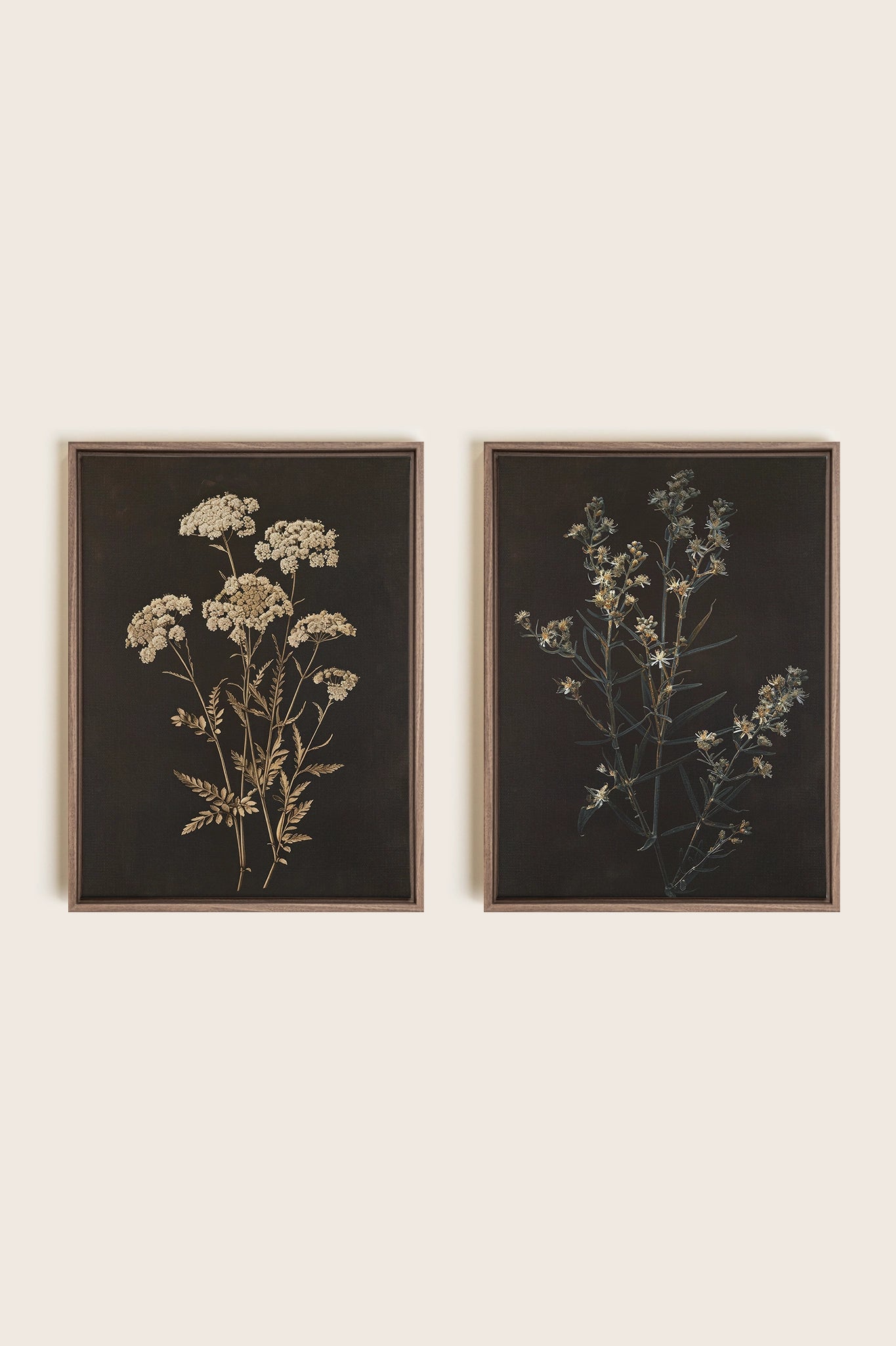 DUO FLEURS PRÉCIEUSES, 2 Oeuvres sur toile étirée, encadré Brun Chêne
