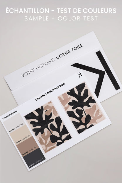 OLEKA CANVAS - ORGANIC SHADOWS DUO, 2 Oeuvres sur toile étirée, encadré Naturel Clair